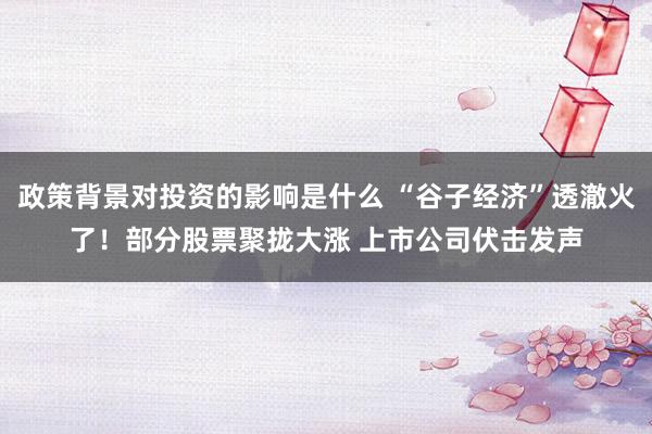 政策背景对投资的影响是什么 “谷子经济”透澈火了！部分股票聚拢大涨 上市公司伏击发声