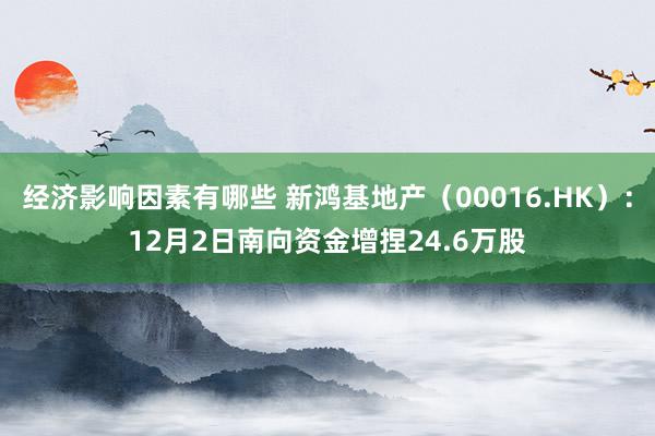 经济影响因素有哪些 新鸿基地产（00016.HK）：12月2日南向资金增捏24.6万股