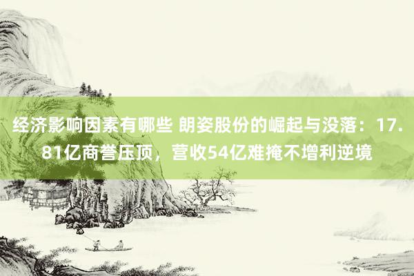 经济影响因素有哪些 朗姿股份的崛起与没落：17.81亿商誉压顶，营收54亿难掩不增利逆境