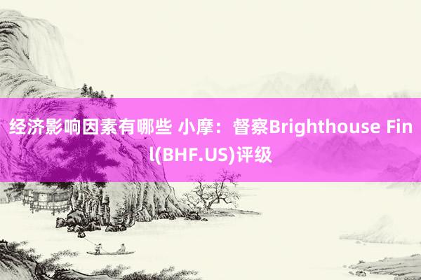 经济影响因素有哪些 小摩：督察Brighthouse Finl(BHF.US)评级