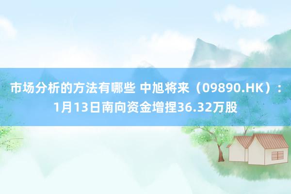 市场分析的方法有哪些 中旭将来（09890.HK）：1月13日南向资金增捏36.32万股