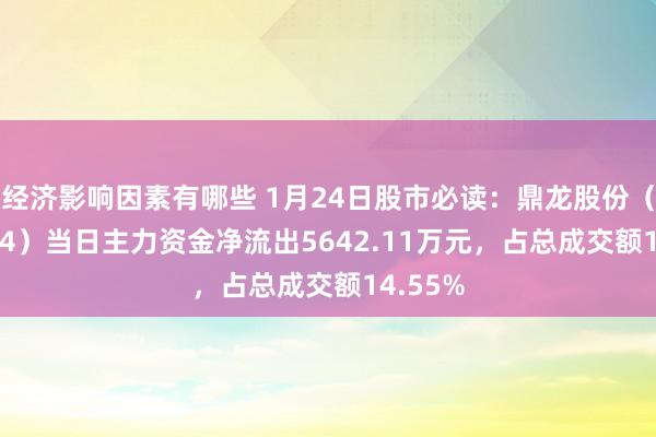 经济影响因素有哪些 1月24日股市必读：鼎龙股份（300054）当日主力资金净流出5642.11万元，占总成交额14.55%