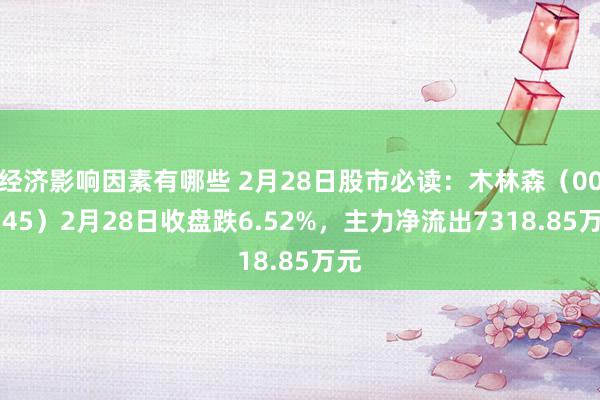 经济影响因素有哪些 2月28日股市必读：木林森（002745）2月28日收盘跌6.52%，主力净流出7318.85万元