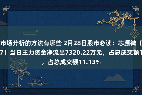 市场分析的方法有哪些 2月28日股市必读：芯源微（688037）当日主力资金净流出7320.22万元，占总成交额11.13%