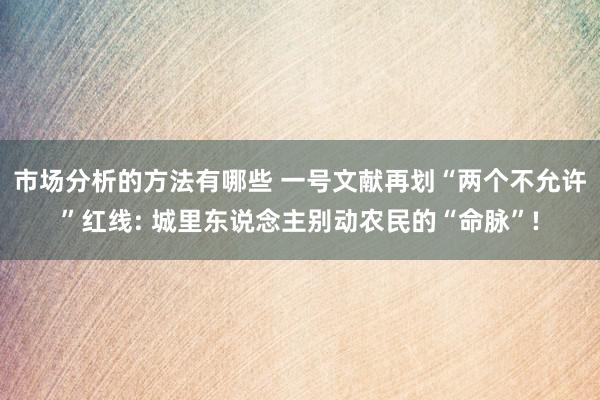 市场分析的方法有哪些 一号文献再划“两个不允许”红线: 城里东说念主别动农民的“命脉”!